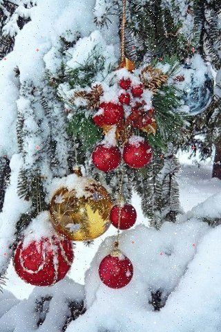 A4177672b1a8a0ce443a4c927b06c548