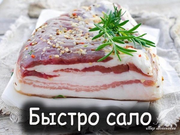 image (5)