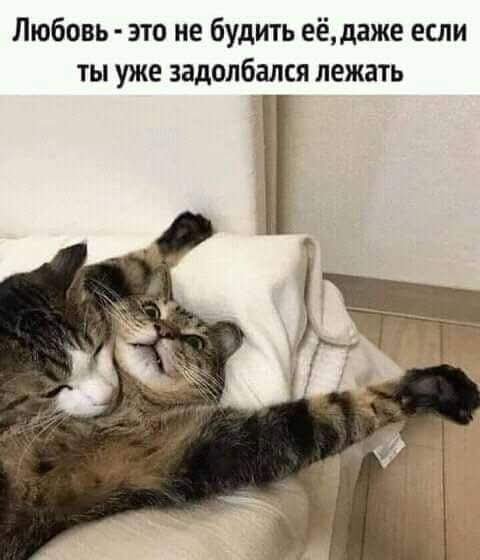 FB IMG 1774697381521