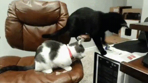 ))