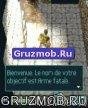 gruzmob.com 3D Solid 6233 RU