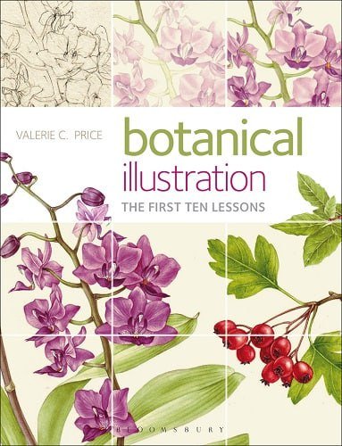 Valerie C Price Botanical Illustration The First Ten Lessons