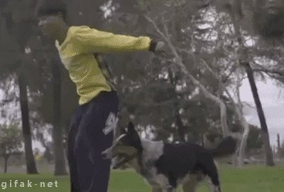 d7d7c5f8e74074f4bfb9d2acda6d