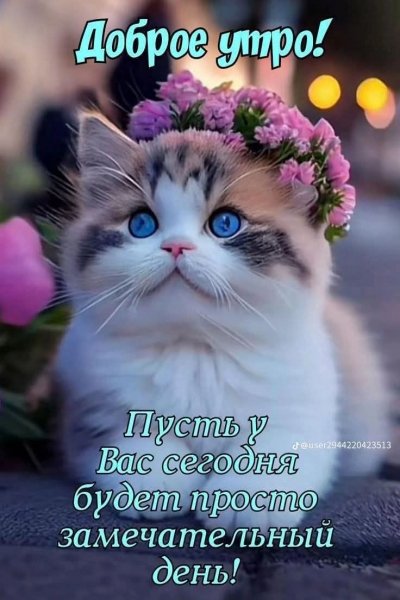 FB IMG 1771997776738