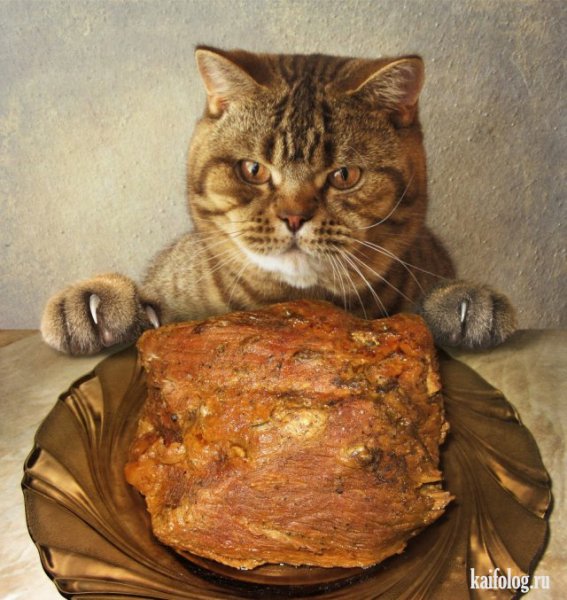 d378e19b07f3179d1259b215ae375