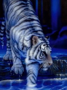 Tigors.sis