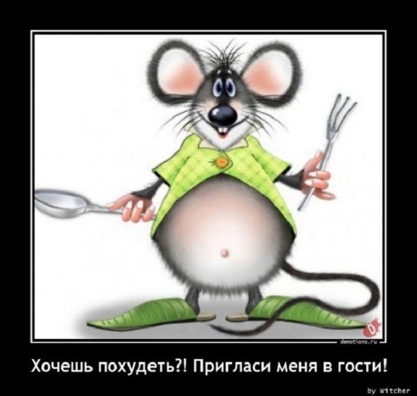 Хочешь похудеть, пригласи меня в гости
