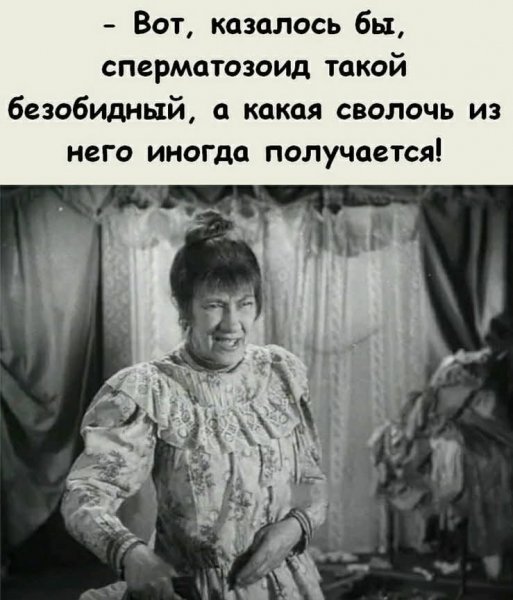 FB IMG 1778784917242