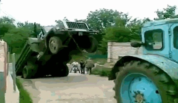 Fungif 09