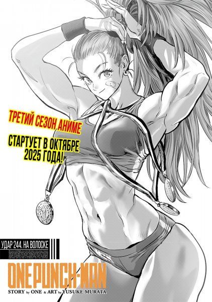OnePunch-Man v34 ch244