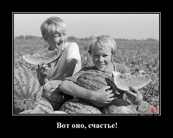 d5df01e1ffe39c2f 4 (19)