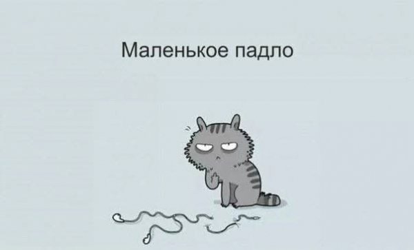 FB IMG 1778852258682