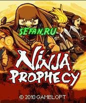Ninja Prophecy 240 5e4a3 5e4a323 sgh