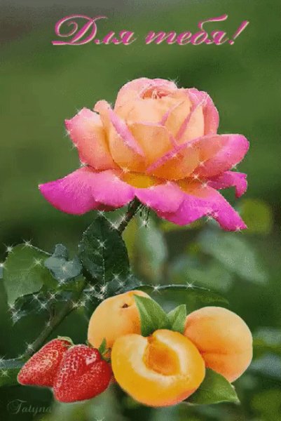 IMG 20170519 184830 18