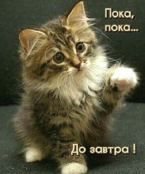 file_90572902