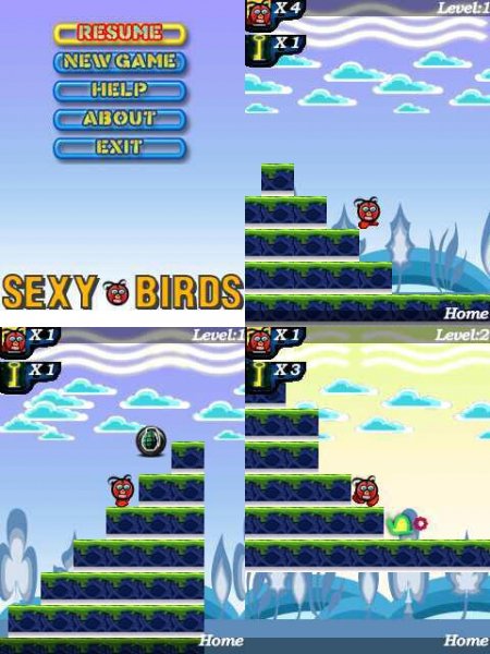 Sexy Birds 352x416 N80