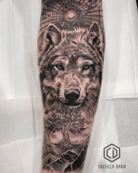 IMG 20250721 214816 504