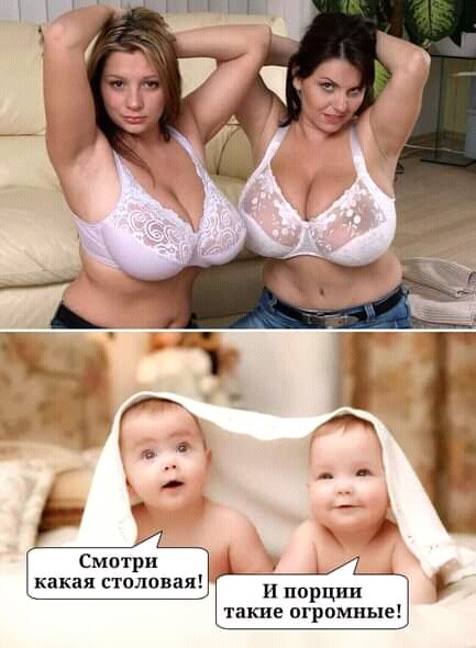 FB IMG 16451383288449145