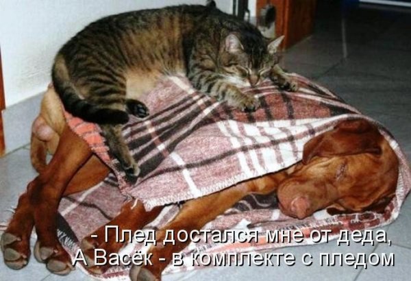 image (6)