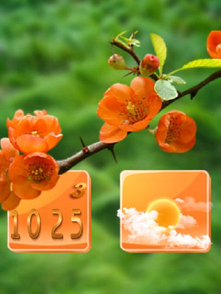 Cvetenie vesny День-ночь