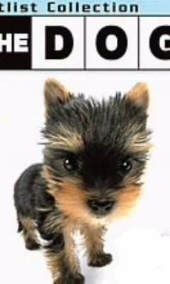 The Dog Yorkie kp500
