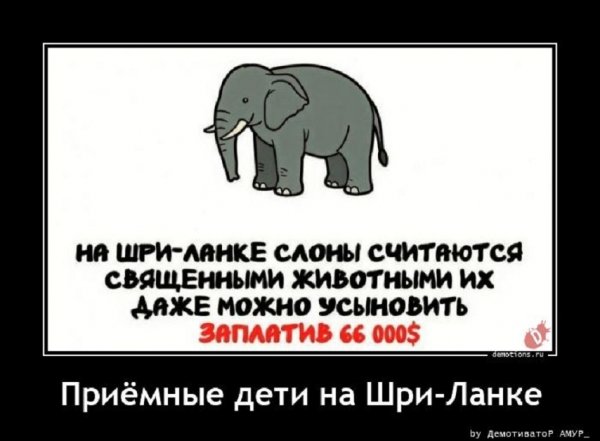 Приёмные дети на Шри-Ланке