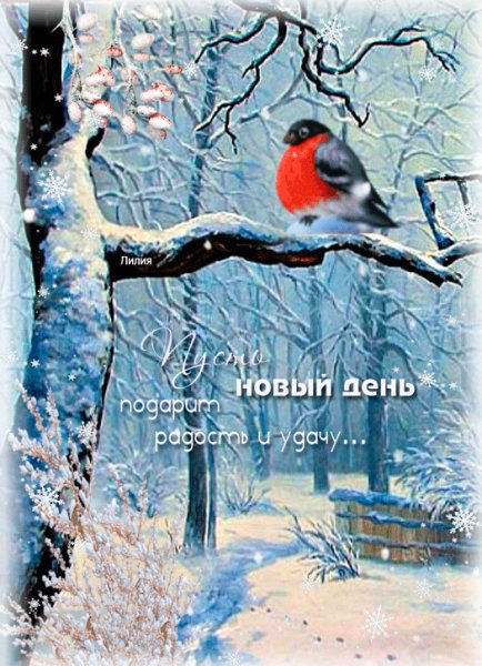 Пожелание
