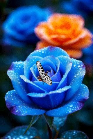 file_100776881