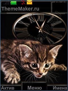 kotenok dlya devchonok