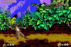 Pitfall - The Mayan Adventure