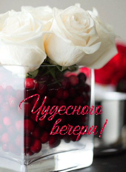 ЧУДЕСНЕЙШЕГО ВЕЧЕРА