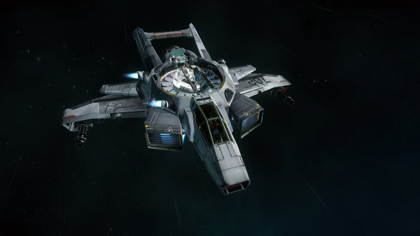 star-citizen-zvezdnyy