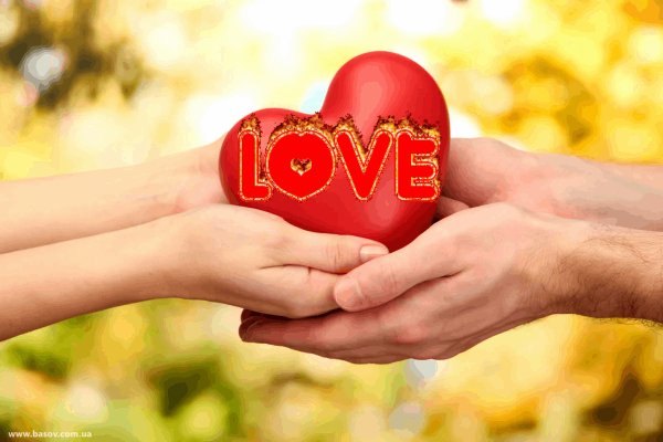 Любовь и привязанность