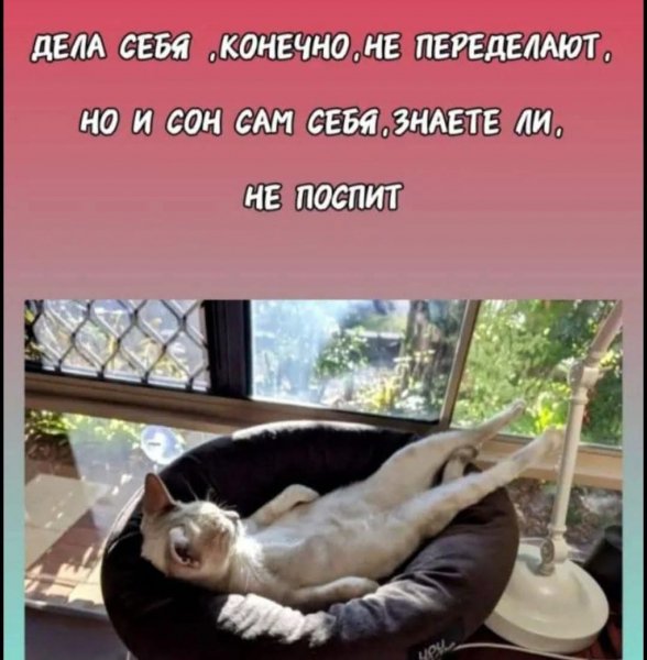 FB IMG 1776781701969