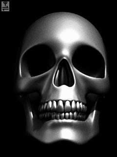 Metallic skull череп хром анимация