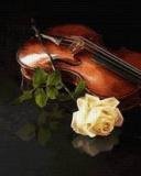 violin and roses