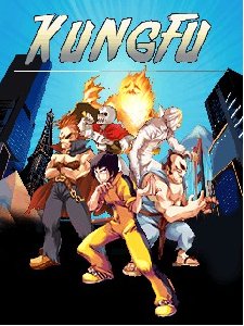 x160(sam)-kung fu put bojca