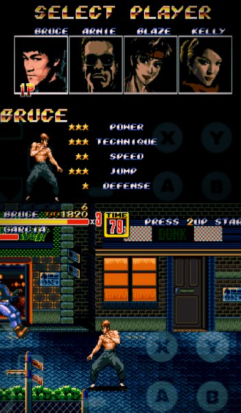 Bruce Lee Rage