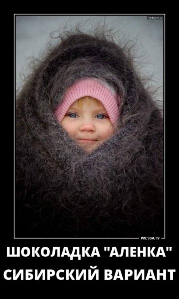 Шоколадка Алёнка сибирский вариант...
