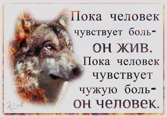 Факт