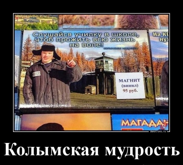 Колымская мудрость