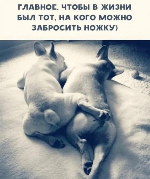 FB IMG 1774290916143