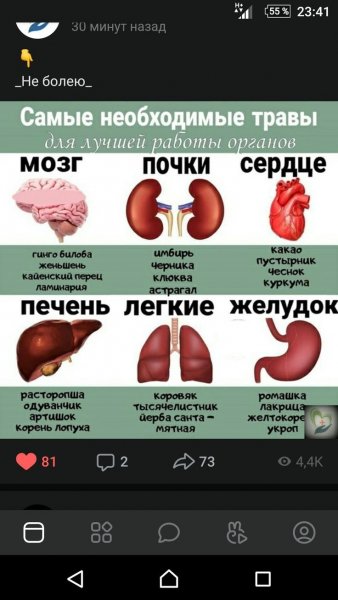 90c609486e2f3aeda3fb2fd4feb1cc03