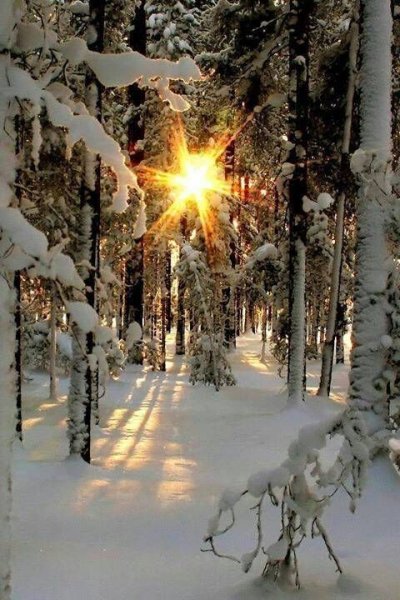 31ac3c33433b8af259a2e34a93d9bb0e