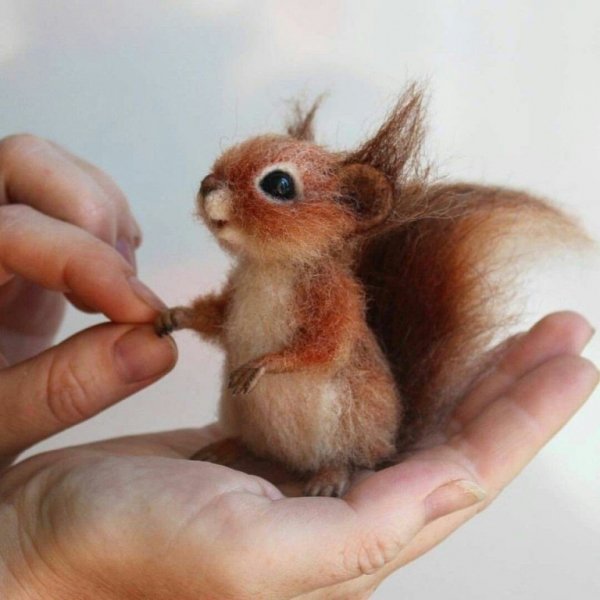 валяная белка из шерсти