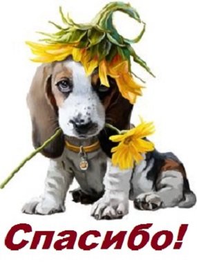 Спасибо!