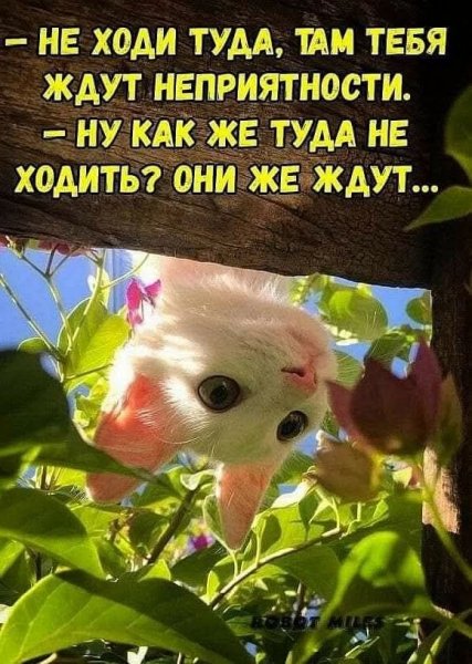 FB IMG 1774628232074