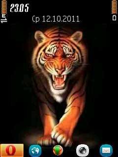 Tiger 8