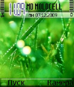 grass jq3lshlj