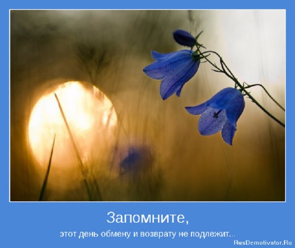 Запомните, этот день обмену и возврату не подлежит